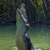 BABUCROC_SNIPER