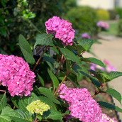 Sylvia Cary Sylviacary Stocktwits