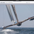 doubleeagle4me