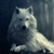Silver_wolf_