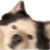 GabeSuave