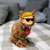 catofwallst