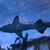 TheWu