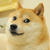 DOGE1337
