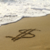 IslandGuy23