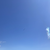 DR_BGP