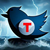 traders_on_the_storm