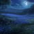NocturneBloom