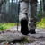 TakeAHike
