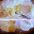 RedFive_28