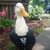 MrDuck
