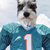 Carson_The_Schnauzer