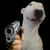 Tucanthetrader