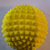 BioInvCA