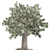 MoneyTreeTrading