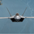 Skyhigh77