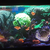 polyp