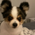 tessthetrader