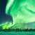 Dogelander