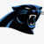 pantherfan