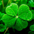 LuckyBeginner