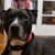 Hank_0