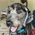 LordBlueChip