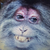 Monkey7779192