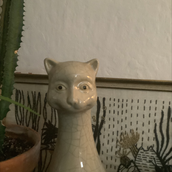 Time Lizard Chronosaurus Stocktwits