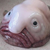 Mrblob