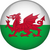 WelshDragon75