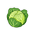 SuperCabbage