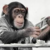 MintMonkey
