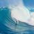 Anisaridingthewaves