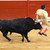 Cabroz