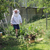 HArendt