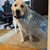 Noah_g0907
