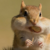 Chipmunker
