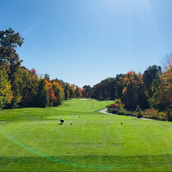 Wiseazz Wiseazz Stocktwits