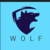 AsherWolfTrades