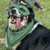 BudBanditBen