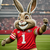 ninergizer