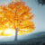 TheGoldenTree