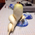 PavilleParsnip