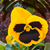 Michaeljin_101
