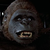 DudeApe615