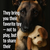 Pettechfl