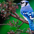 Bluejay44