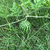 stickysituation1