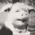 snotteh2